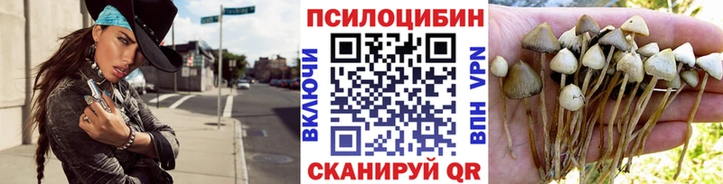 Галлюциногенные грибы Magic Shrooms  kraken ССЫЛКА  Октябрьский 